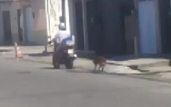 Motociclista puxa cachorro amarrado em uma corda pelas ruas de Fortaleza