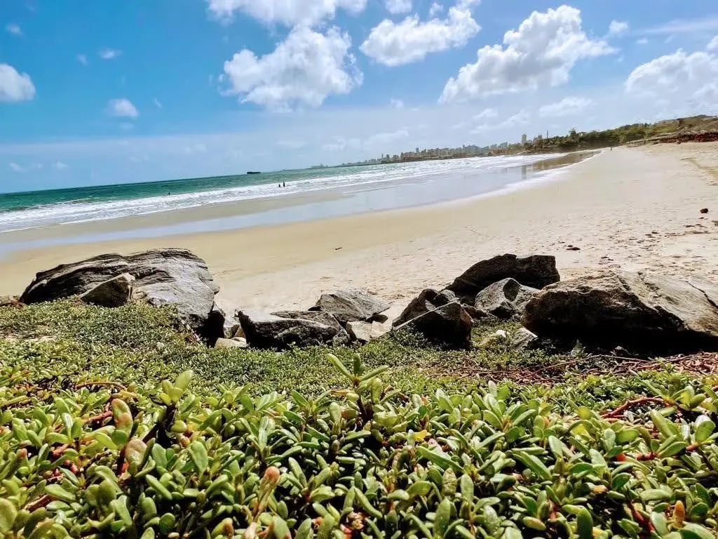 Com chuvas intensas na última semana, apenas nove trechos de praia estão próprios para banho em Fortaleza