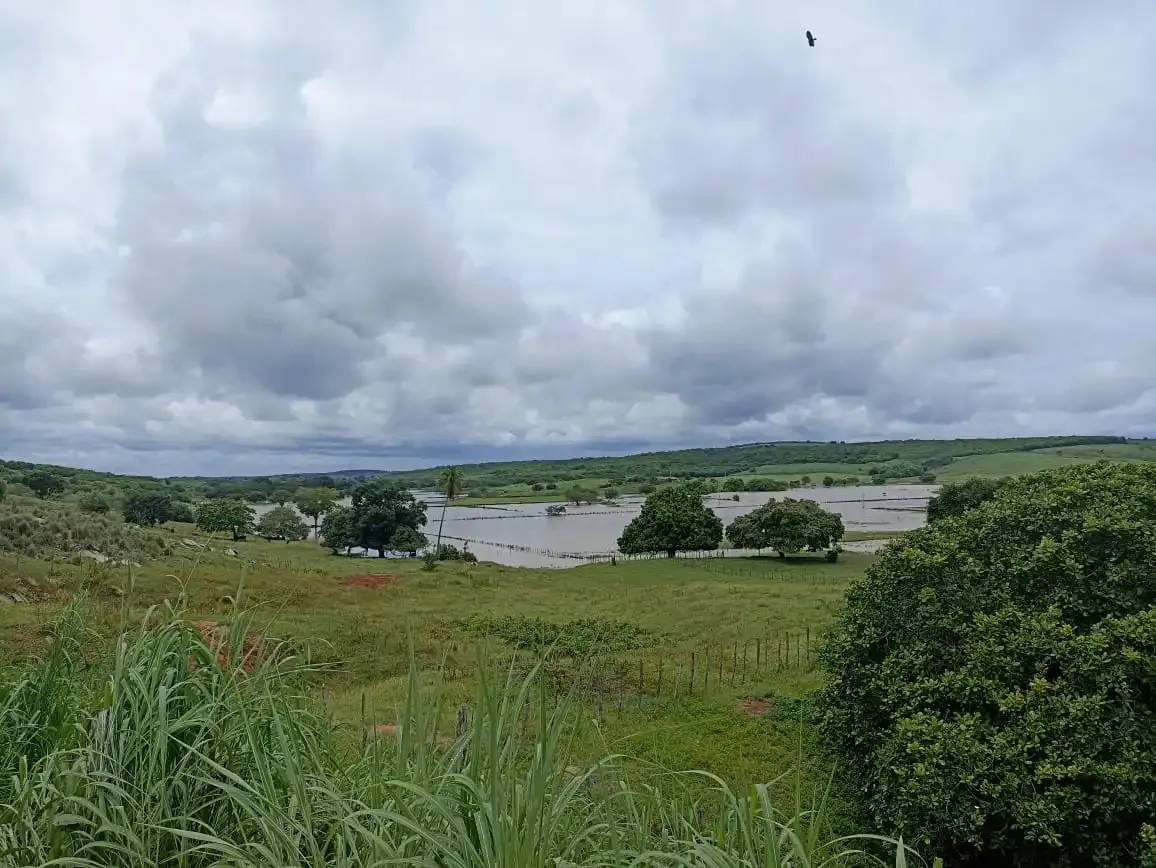 Várzea Alegre registra a maior chuva de 2022, com 200 mm