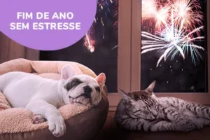 fim-de-ano-sem-estresse