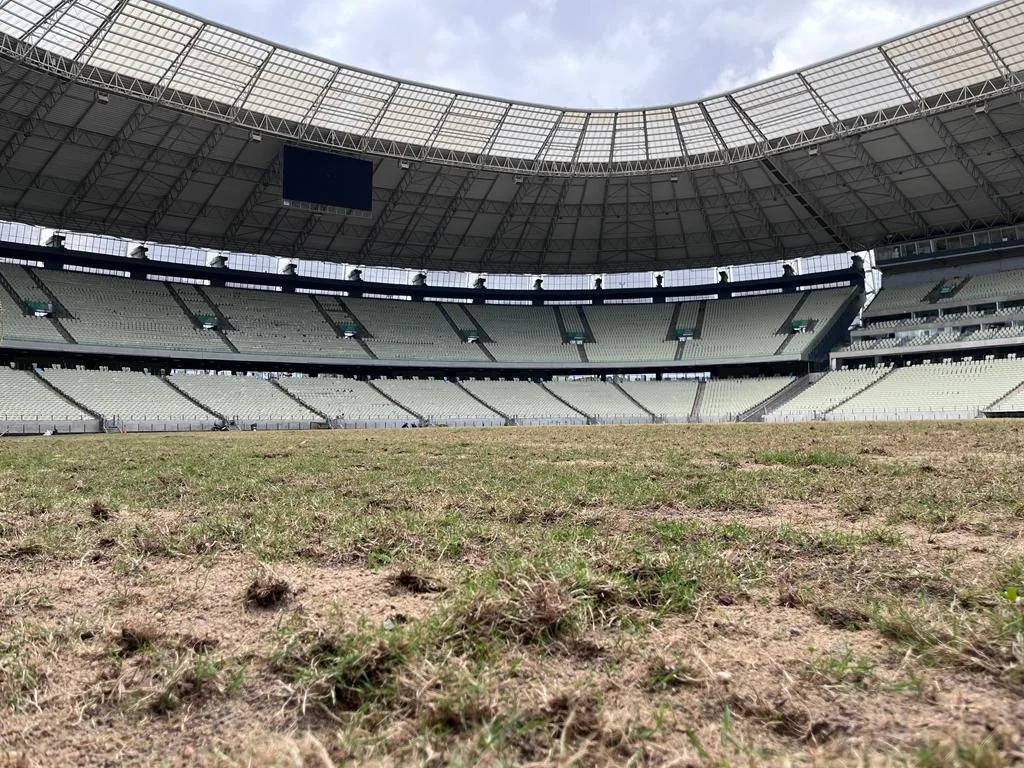 Gramado da Arena Castelão começa a crescer após uma semana de plantio das mudas