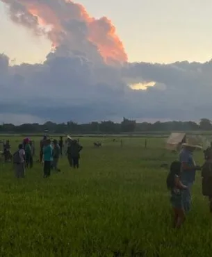 Indígenas são presos ao protestarem contra obra em Mato Grosso do Sul