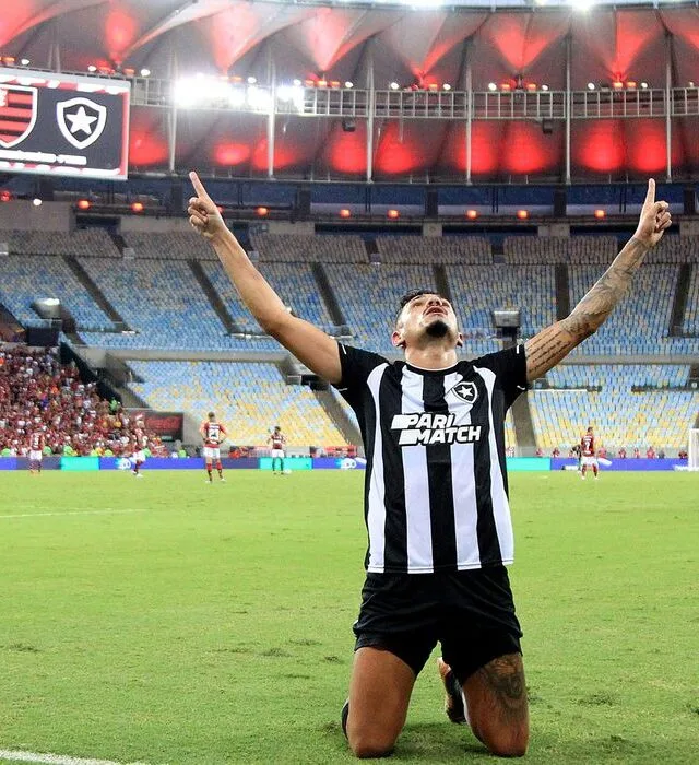 Botafogo volta a liderança do Campeonato Brasileiro após quase dez anos