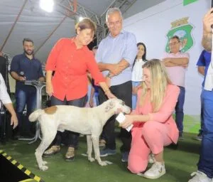 Cachorro sobe em palanque e participa de inauguração de areninha em Horizonte