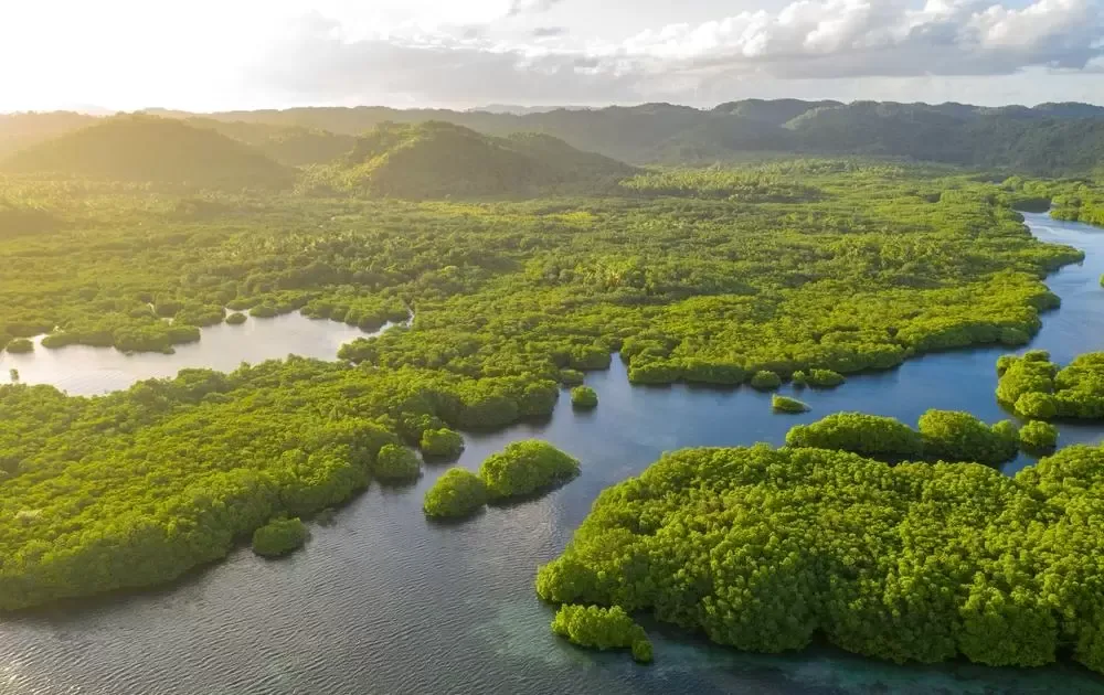 Nasa tem interesse em parceria com Brasil para monitoramento da Amazônia