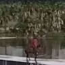 Homem e cavalo caem em açude durante travessia de barragem no Ceará
