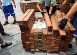 Polícia Federal desarticula quadrilha que escondia cocaína em cargas de madeira para exportação