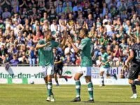 Lübeck x Hoffenheim: saiba onde assistir ao vivo ao jogo (14/08)