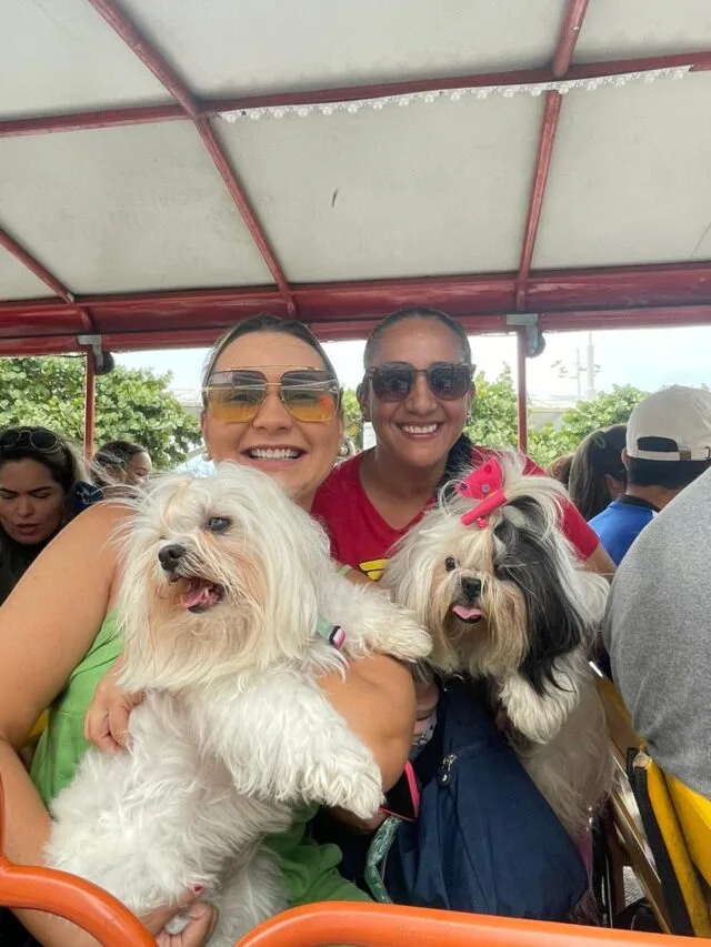 Cãezinhos se divertem em passeio de trenzinho na Beira-Mar