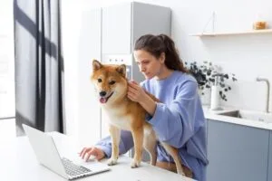 Atendimento veterinário online facilita a vida de tutores e serviços em clínicas