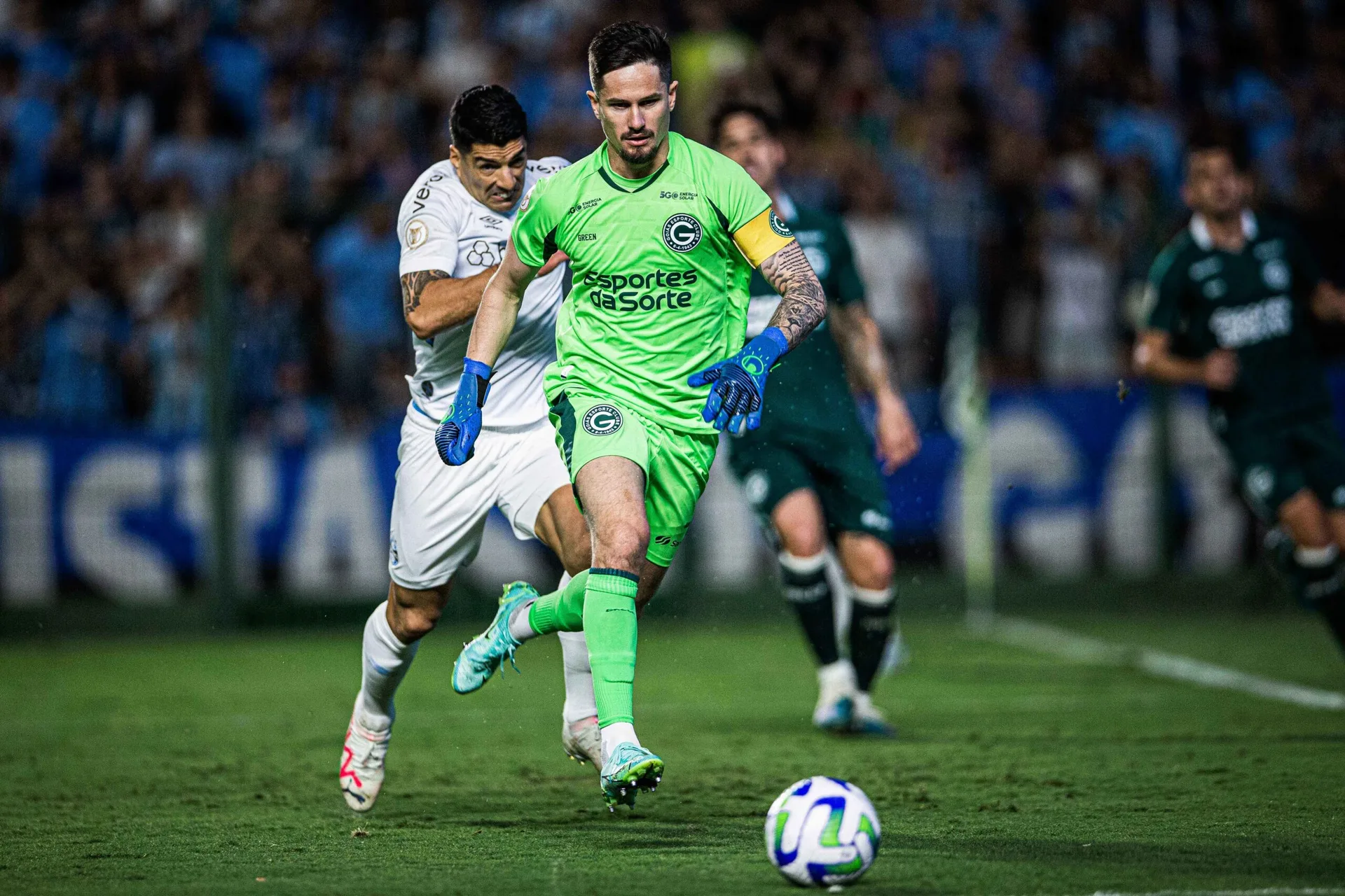 Grêmio x Goiás: assista ao vivo ao jogo do dia, hoje (30/11)