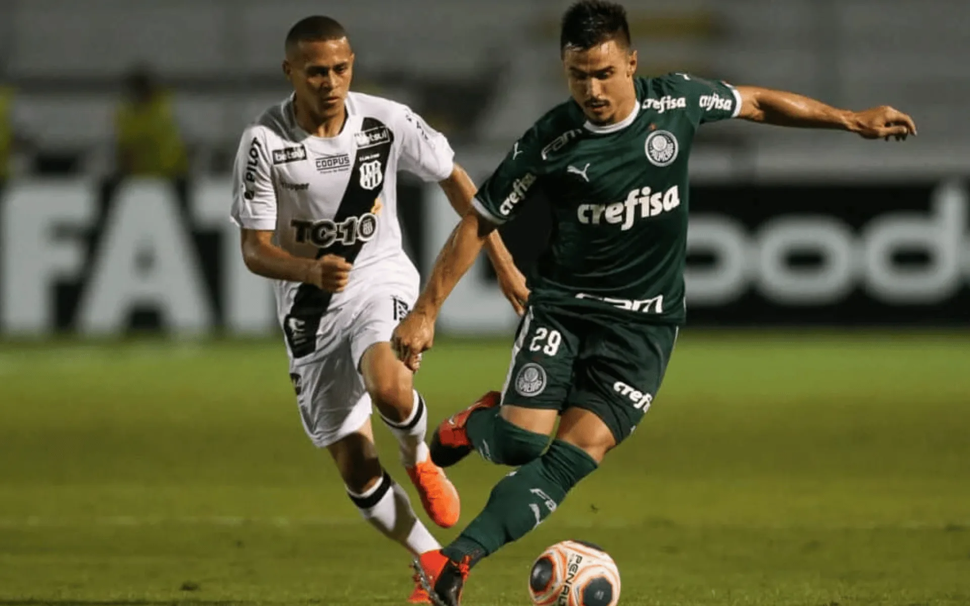 Palmeiras x Ponte Preta: assista ao vivo ao jogo de hoje (16/03)