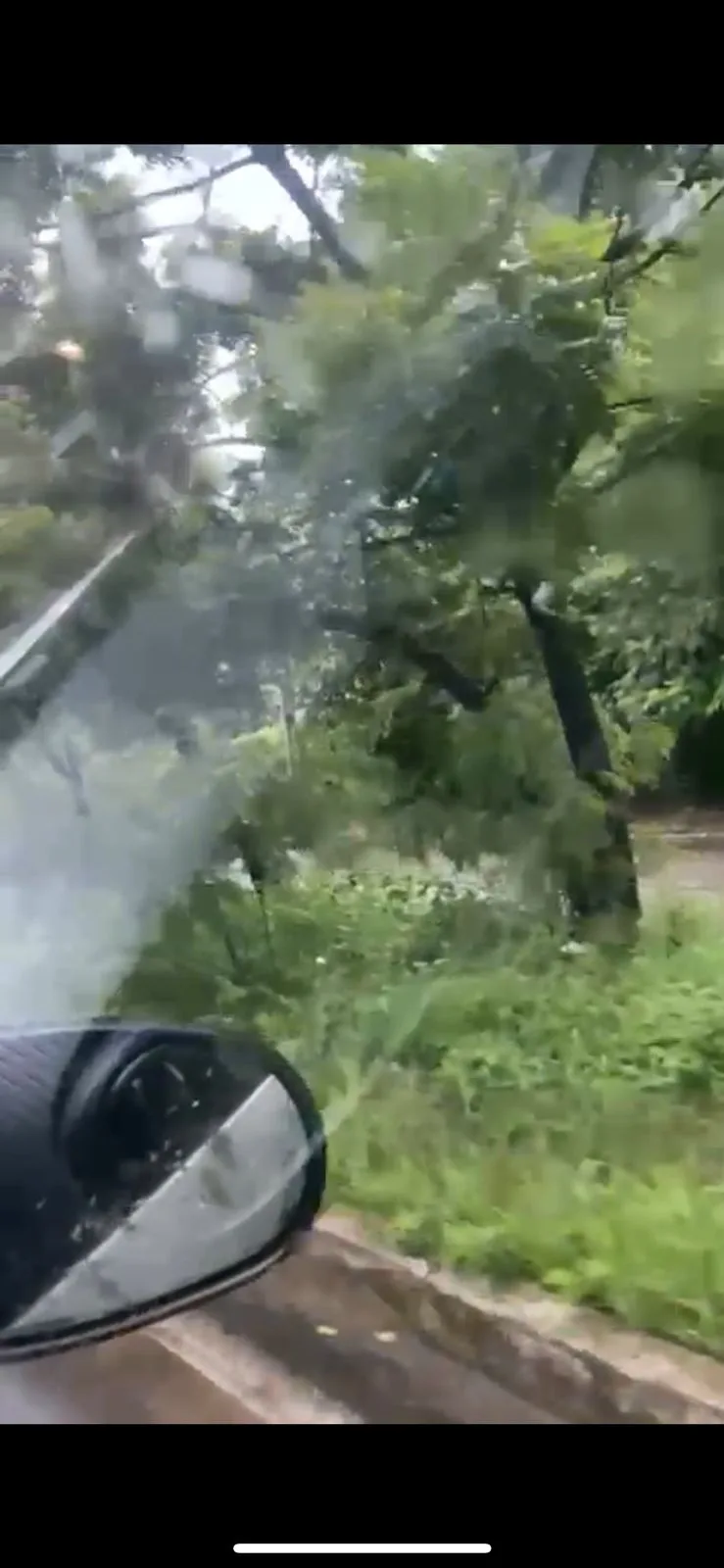 Árvore cai e bloqueia passagem na Avenida Dioguinho, em Fortaleza