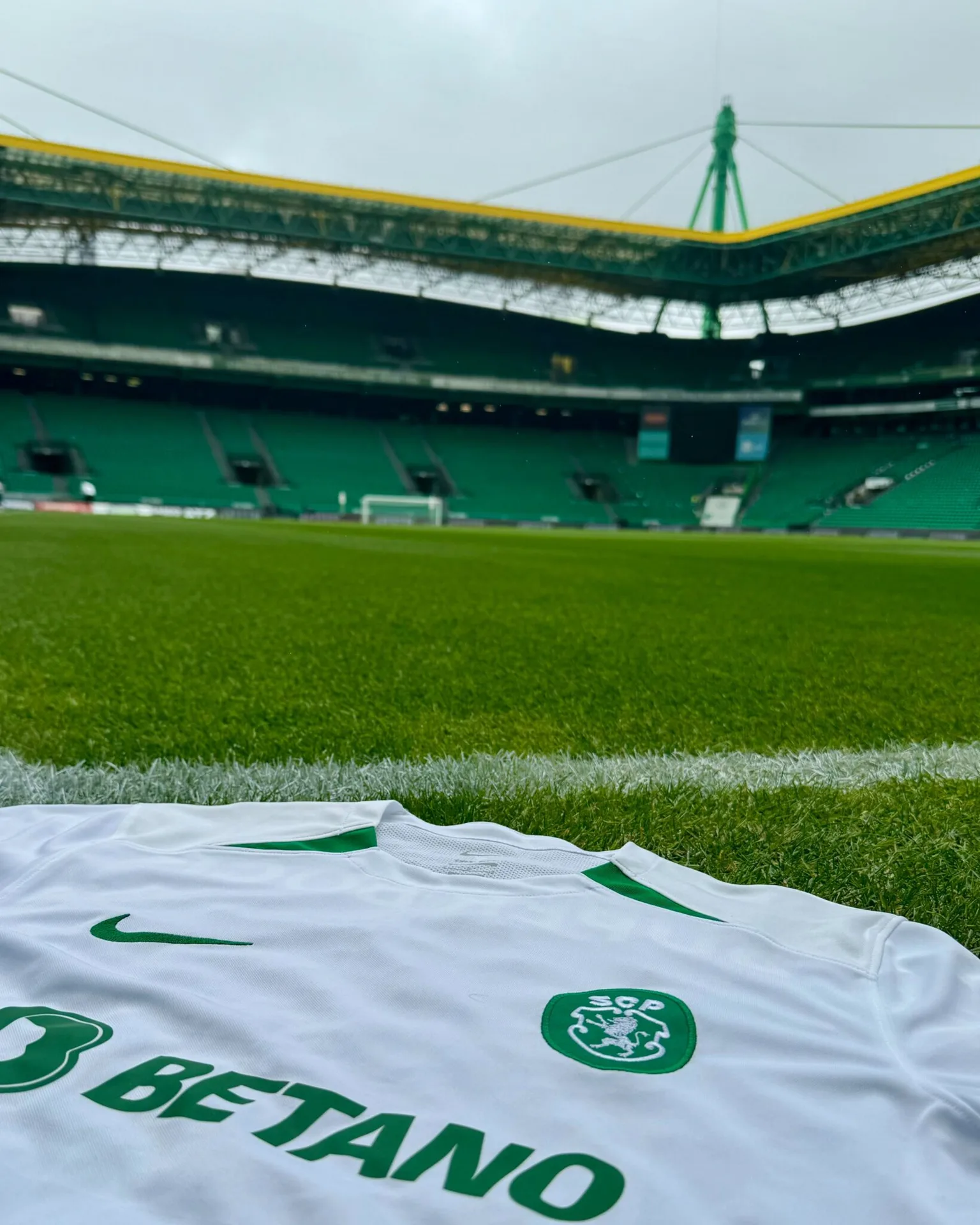 Sporting x Portimonense: assista ao vivo ao jogo de hoje (04/05)