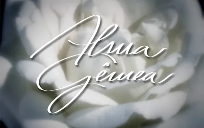 "Alma Gêmea": veja resumo da novela de sexta-feira (06/12)