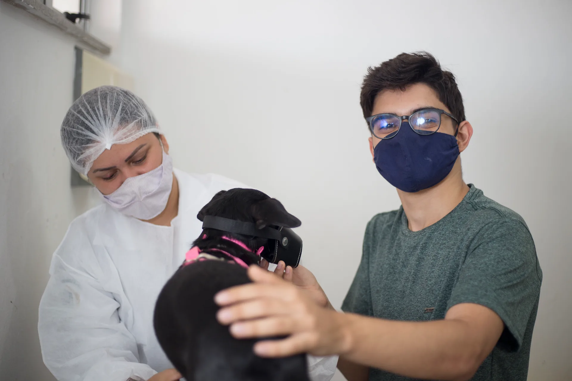 Pet Ceará Móvel passa a ofertar vacinação antirrábica gratuita; confira os locais de atendimento