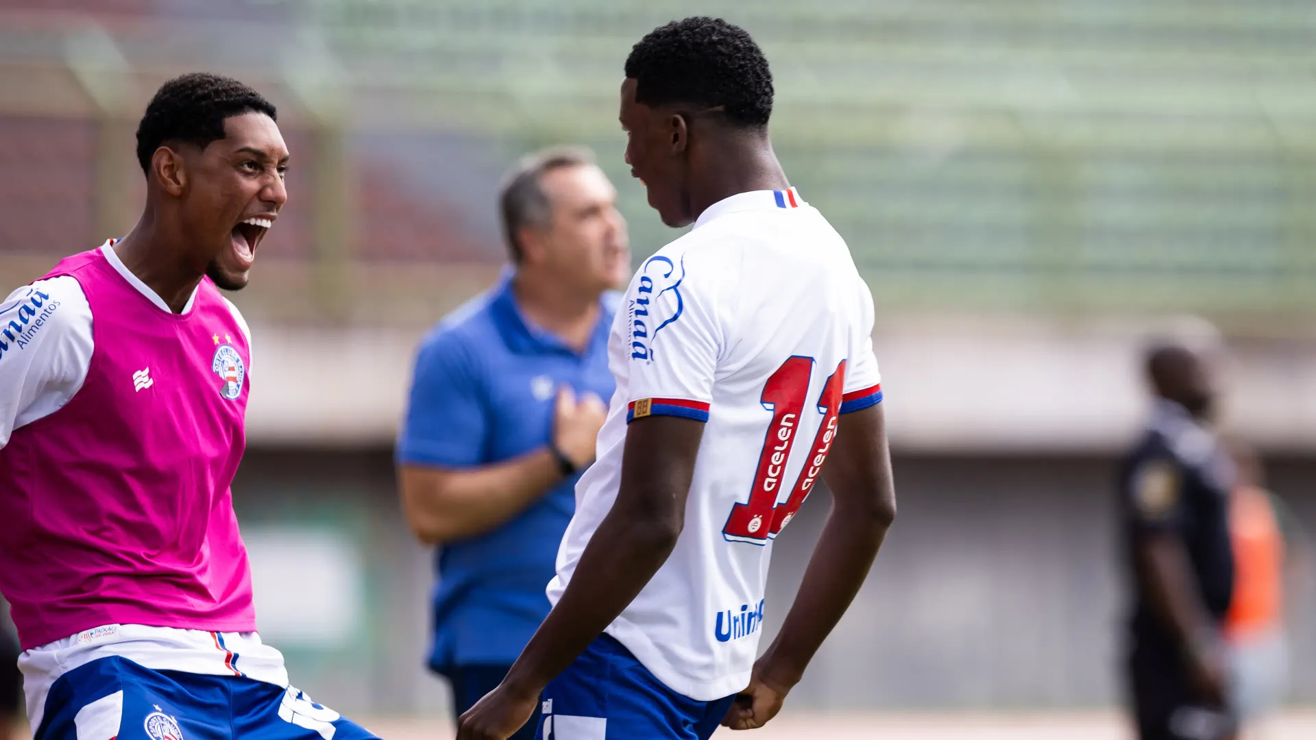 Bahia x Flamengo: assista ao vivo ao jogo de hoje (02/07)