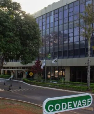CGU conclui que Codevasf superfaturou asfalto de 'baixa qualidade' no Ceará e em outros nove estados; entenda