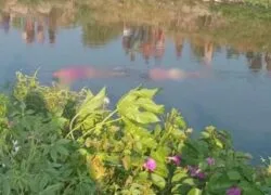Presa mulher que teria mandado matar outras duas mulheres encontradas em rio
