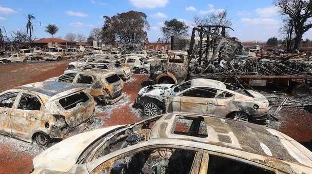 São Paulo terá risco máximo de incêndios em quase todas as regiões no fim da semana