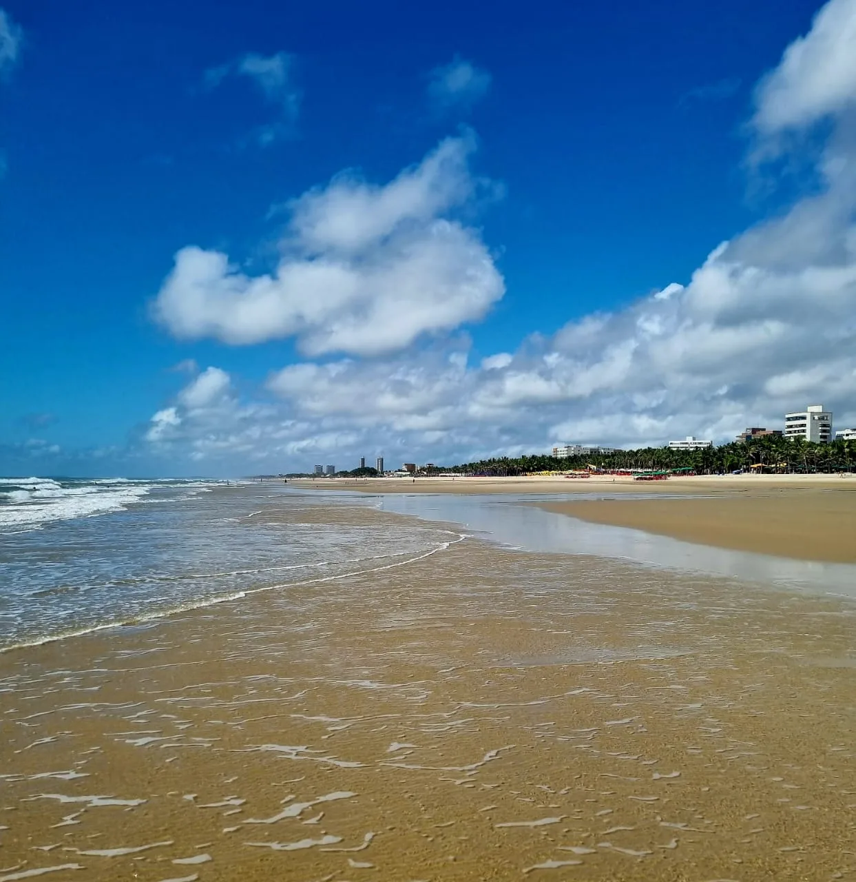 Fortaleza tem 23 praias próprias para banho neste fim de semana; veja a lista