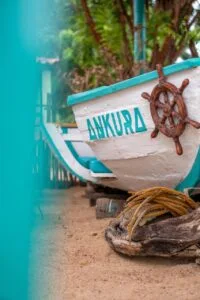Ankura
