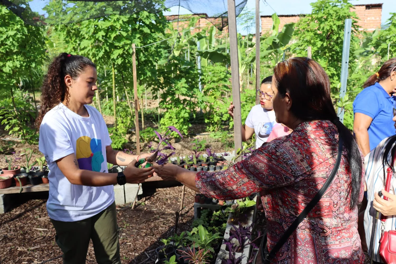Inec realiza oficinas gratuitas de agroecologia urbana voltadas ao empreendedorismo feminino