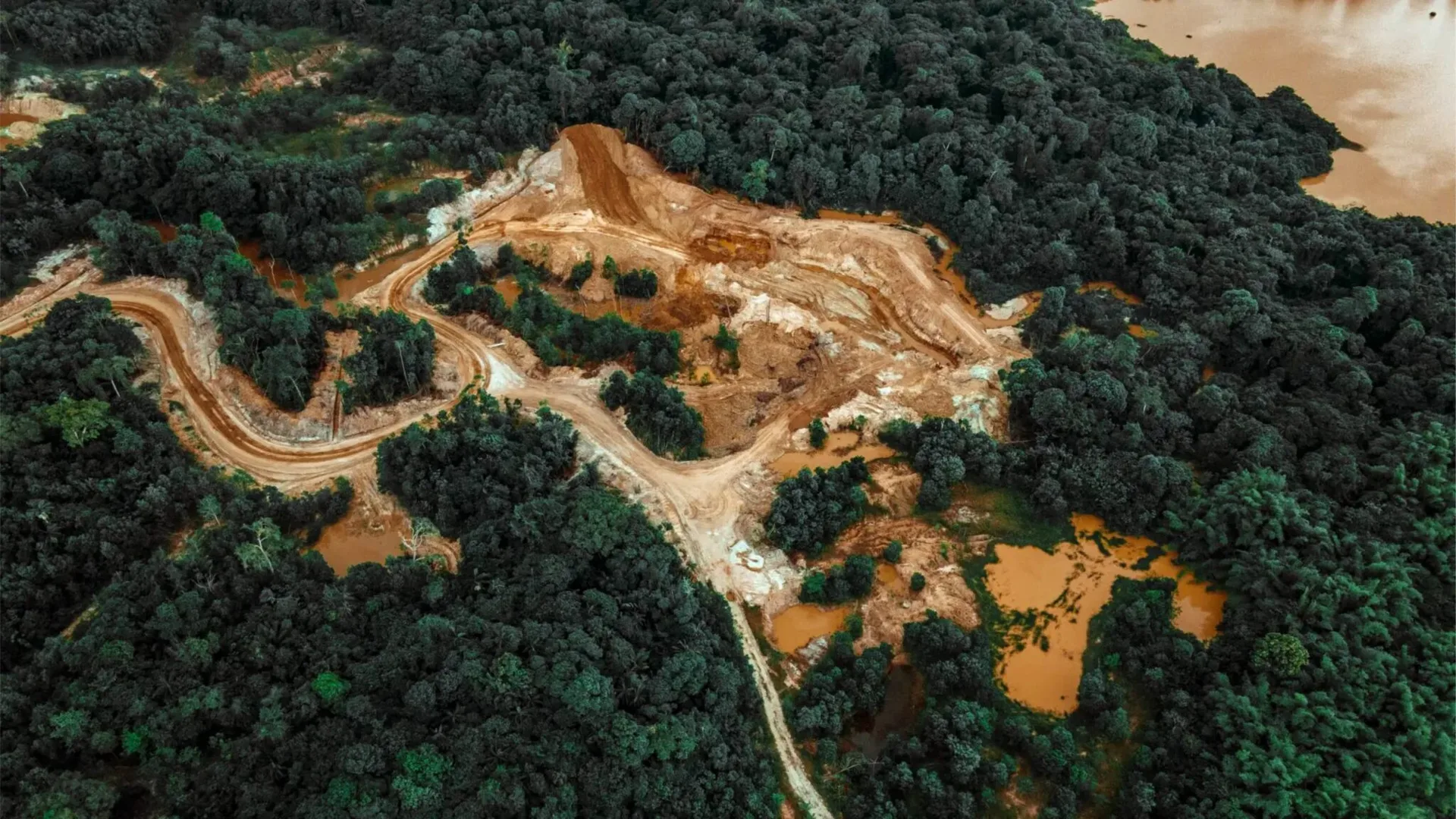 Brasil perdeu o equivalente à área da Bolívia em vegetação natural, nos últimos 40 anos