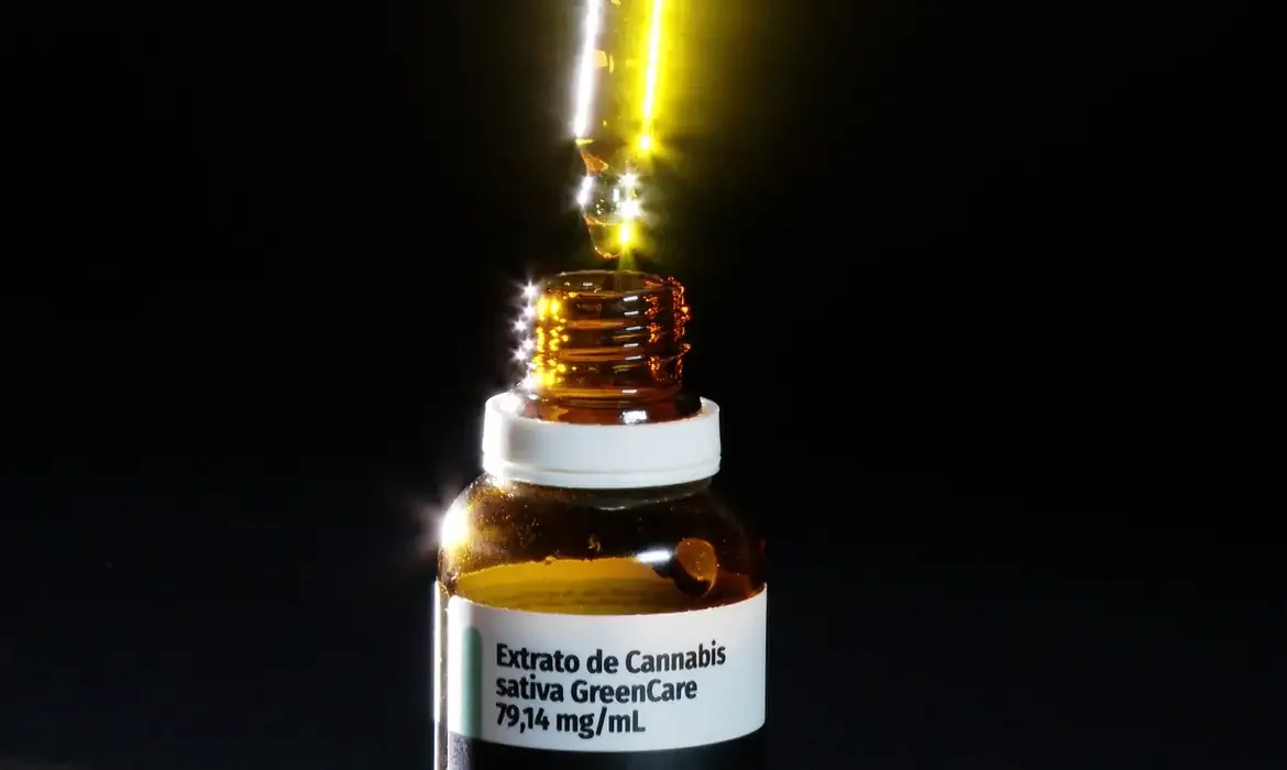 Anvisa aprova cultivo de cannabis por empresas e amplia acesso
