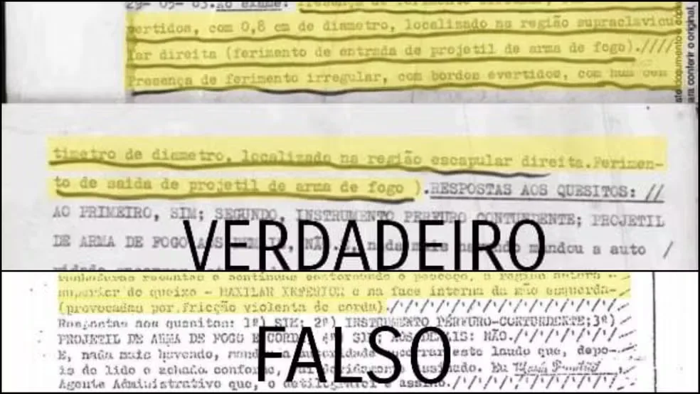 Documentário fraudou laudo para atacar ativista Maria da Penha; ex-marido e mais três viraram réus