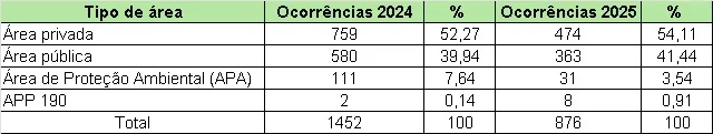 incêndio em vegetação janeiro a julho 2025