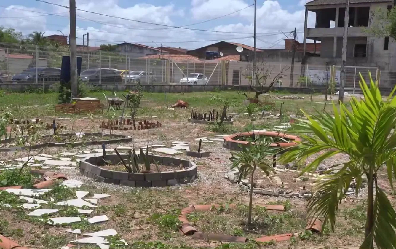 Escola pública de Fortaleza transforma entulho em jardim com projeto socioambiental