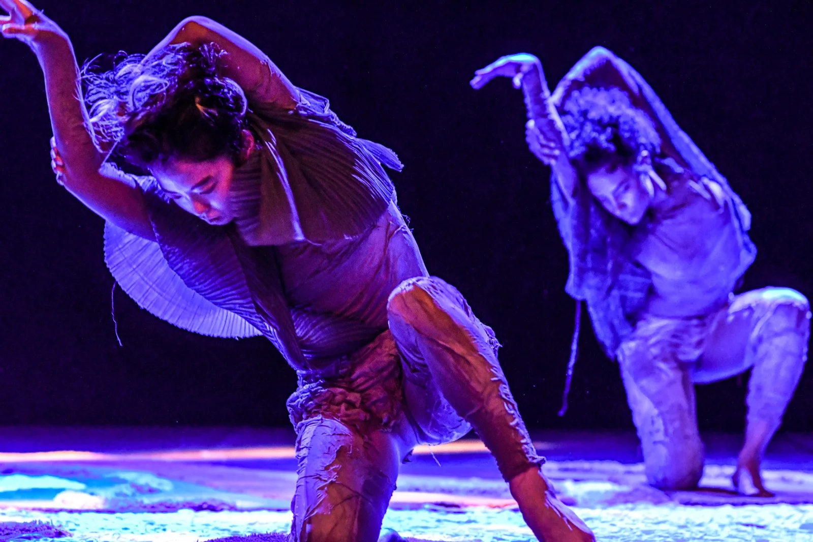 As apresentações serão realizadas nesta sexta-feira (31), às 20h30, e no sábado (1º de novembro), às 18h, no Theatro José de Alencar (Foto: Layza Vasconcelos) Espetáculo sobre devastação do Cerrado chega a Fortaleza e transforma alerta ambiental em dança