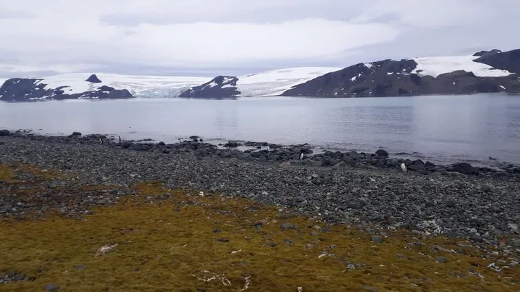 Estação Comandante Ferraz, base de pesquisa do Brasil na Antártica