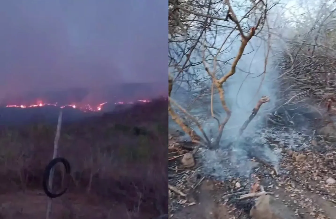 Incêndio em vegetação em Pacujá, no Ceará, já dura 5 dias e ameaça comunidades locais
