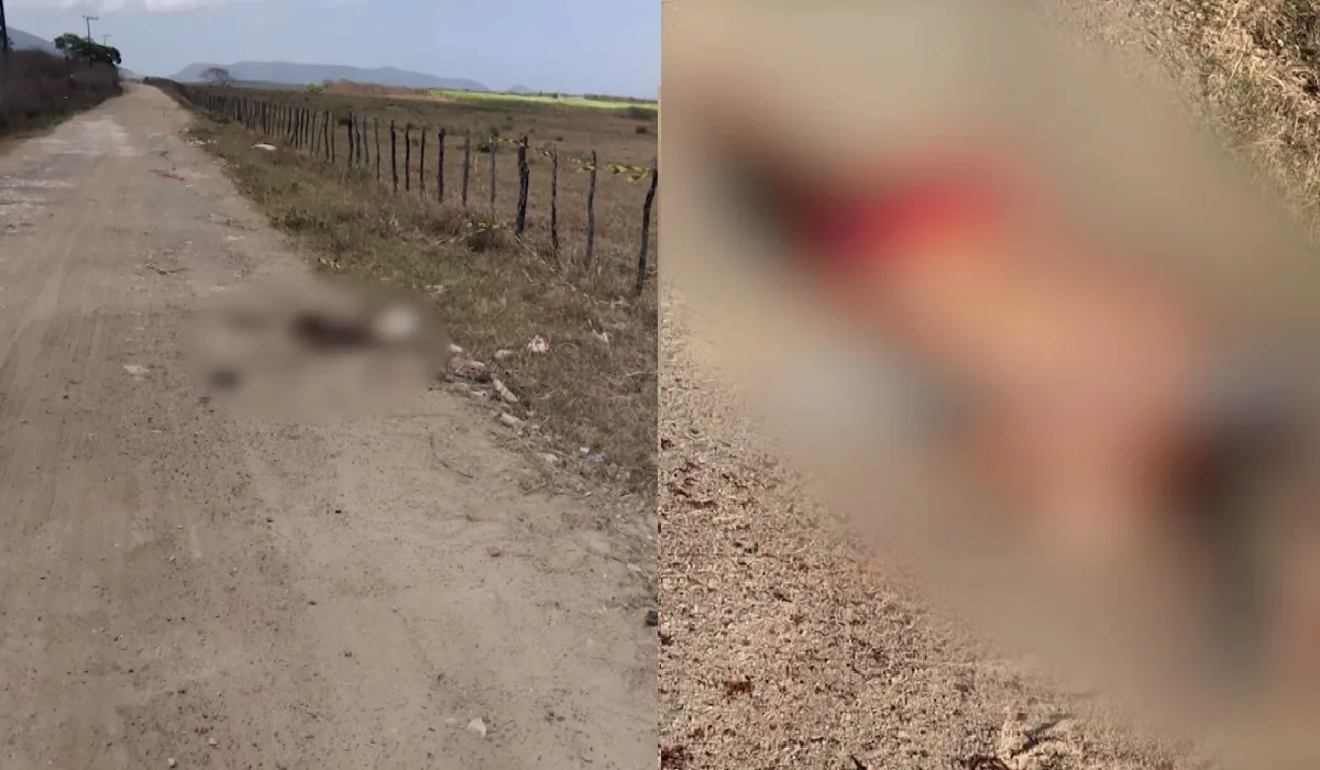 Moradores encontram corpo de homem morto a pedradas na zona rural de Caucaia, no Ceará