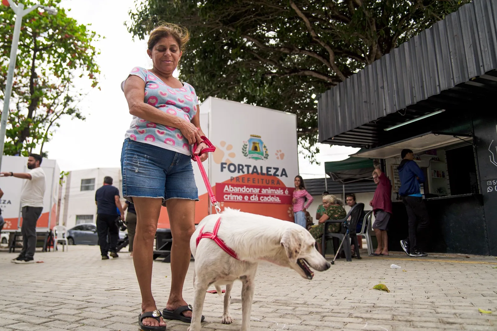 VetMóveis passam de 36 mil atendimentos e realizam 19 mil castrações em Fortaleza