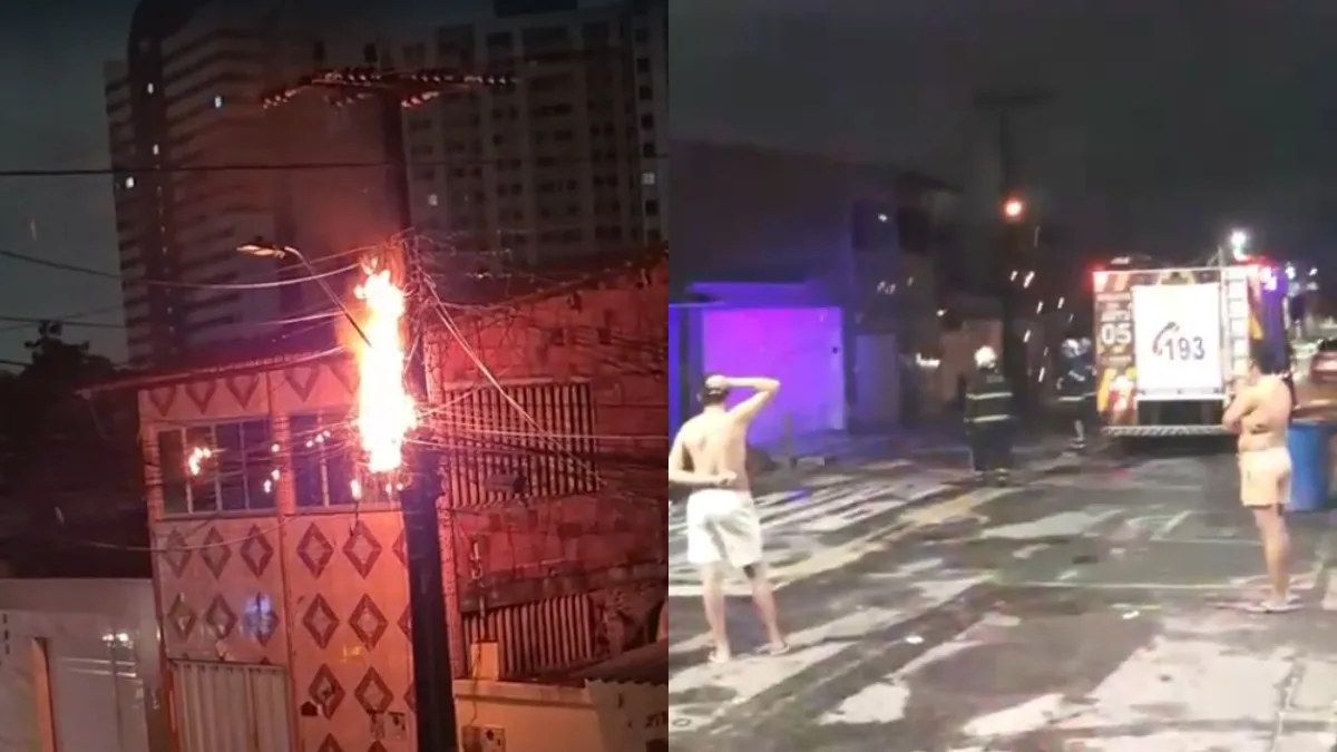 Incêndio danifica fiação e deixa cabos de internet soltos no Parque Iracema