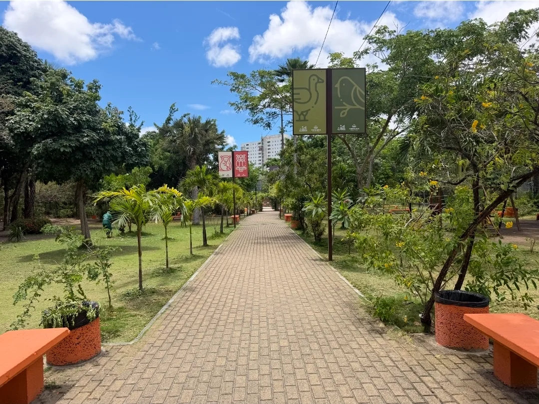 Arquivo pessoal Primavera chega ao Zoológico de Fortaleza com experiência de jardinagem para famílias