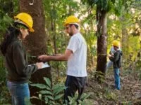Mês do Meio Ambiente mostra que empregos sustentáveis são os que mais crescem com salários de até R$ 5 mil